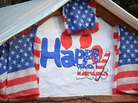 Favolosi anni 50 (224)